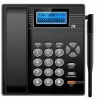 ZTE WP829